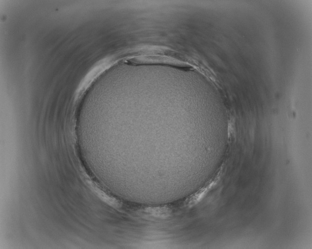 X0000079310101200612151802