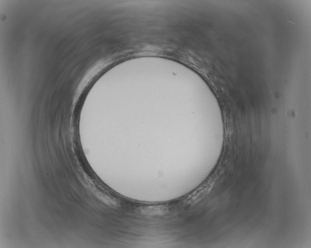 X0000079310102200612151802