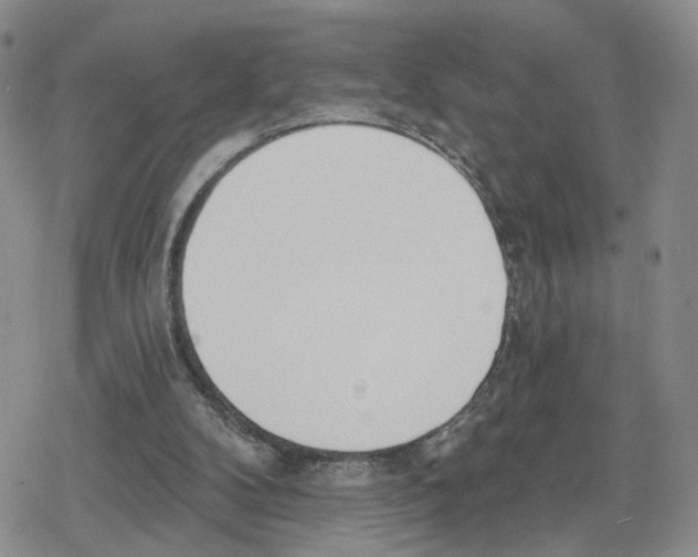 X0000079310104200612151802