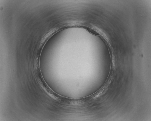 X0000079310105200612151802