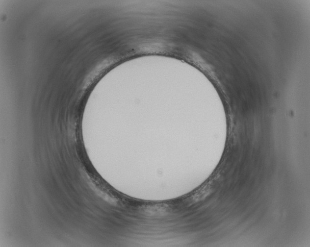 X0000079310106200612151802