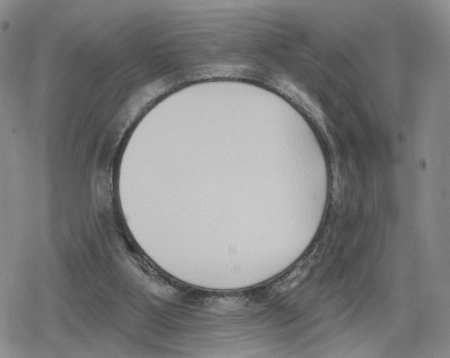 X0000079310107200612151802