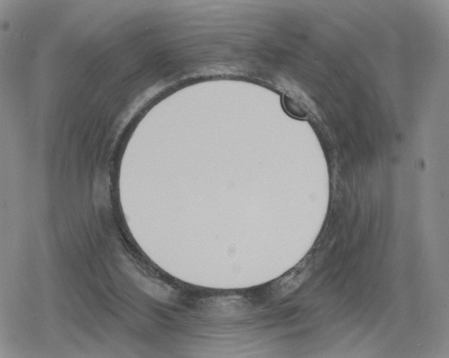 X0000079310108200612151802