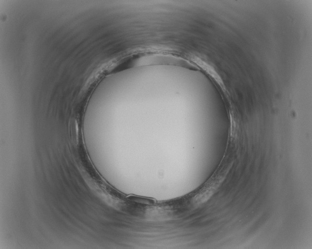 X0000079310109200612151802