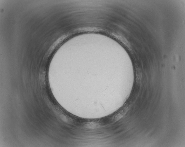 X0000079310111200612151802