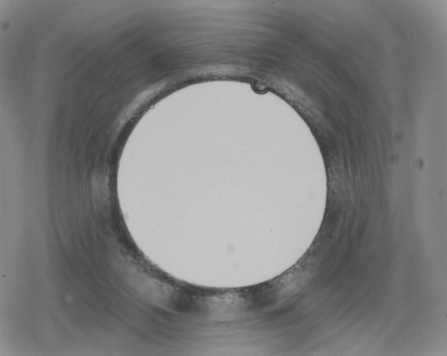 X0000079310112200612151802