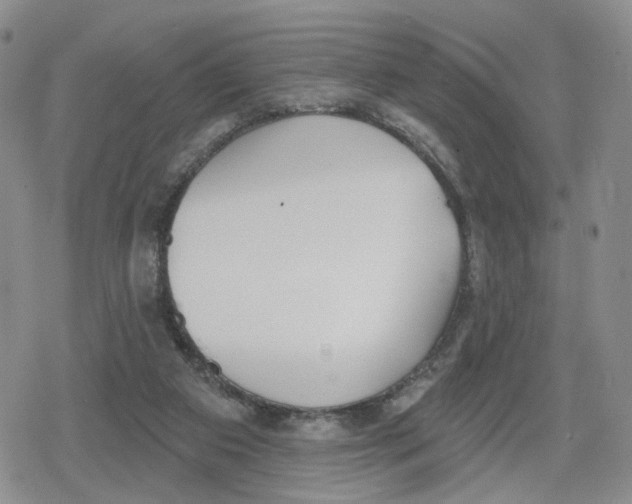 X0000079310113200612151802