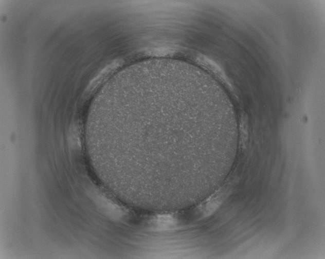 X0000079310114200612151802