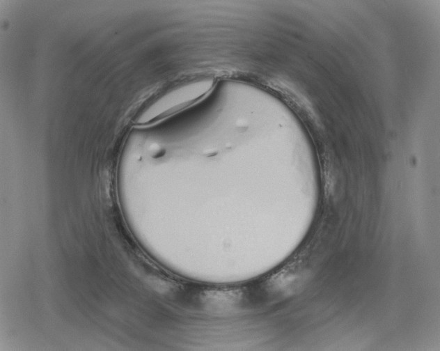 X0000079310115200612151802