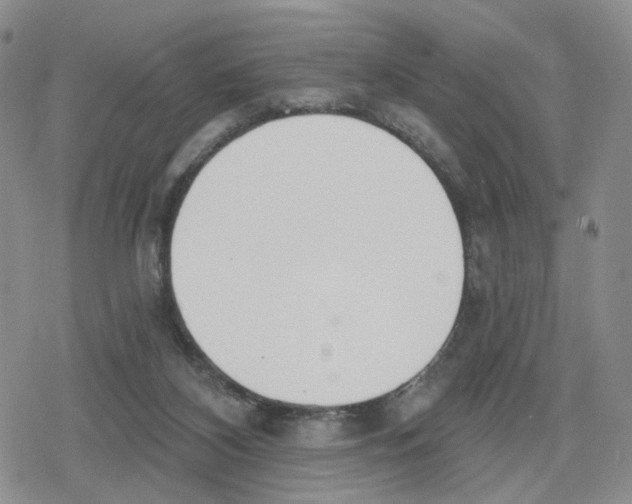 X0000079310116200612151802