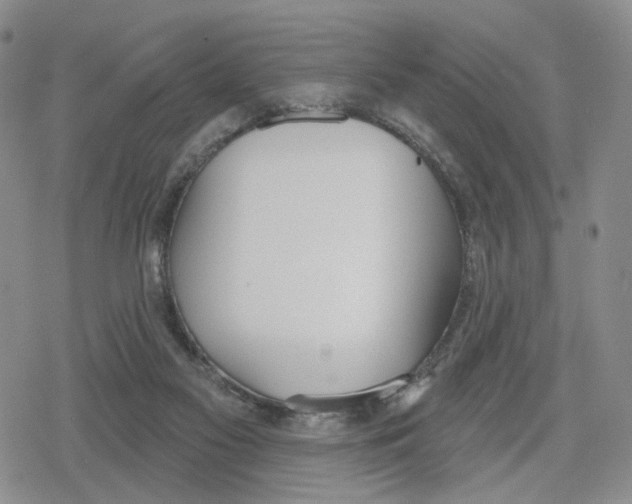 X0000079310117200612151802