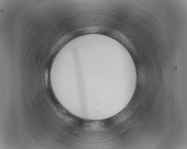 X0000079310118200612151802