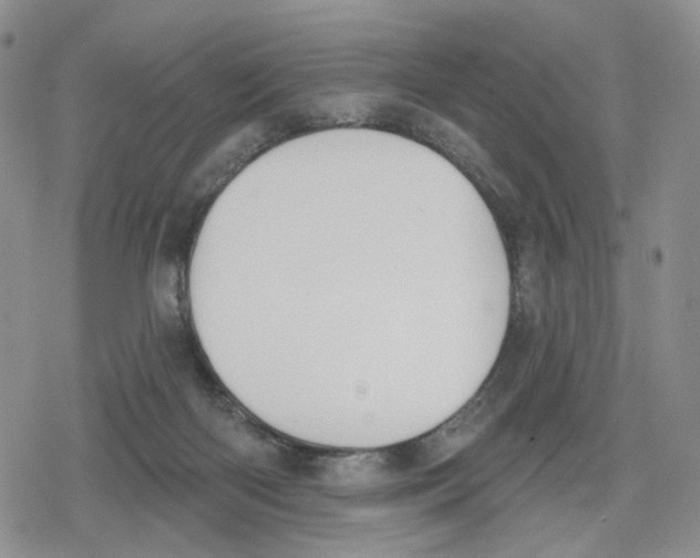 X0000079310122200612151802