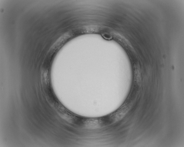 X0000079310123200612151802