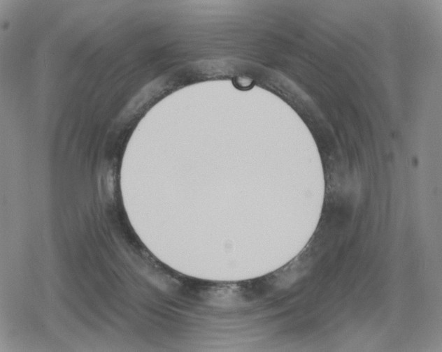 X0000079310124200612151802