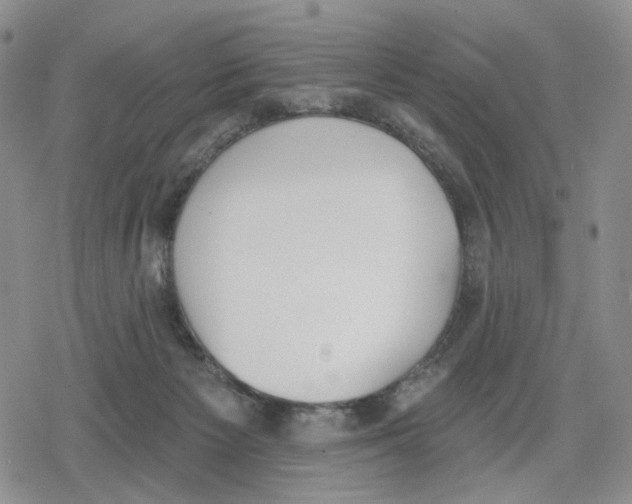 X0000079310125200612151802