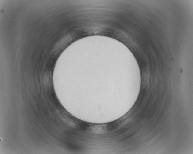 X0000079310126200612151802