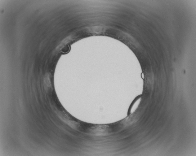 X0000079310128200612151802