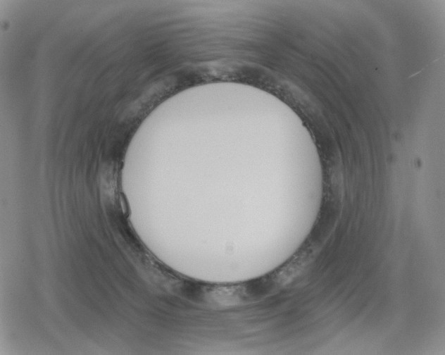 X0000079310129200612151802