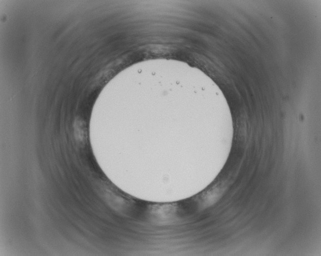 X0000079310135200612151801