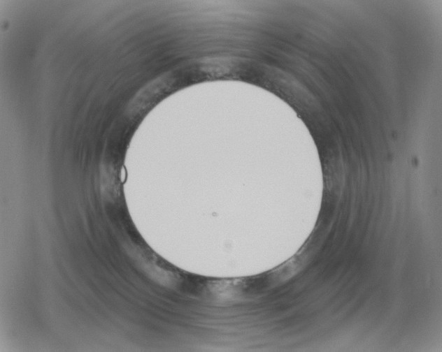 X0000079310136200612151801