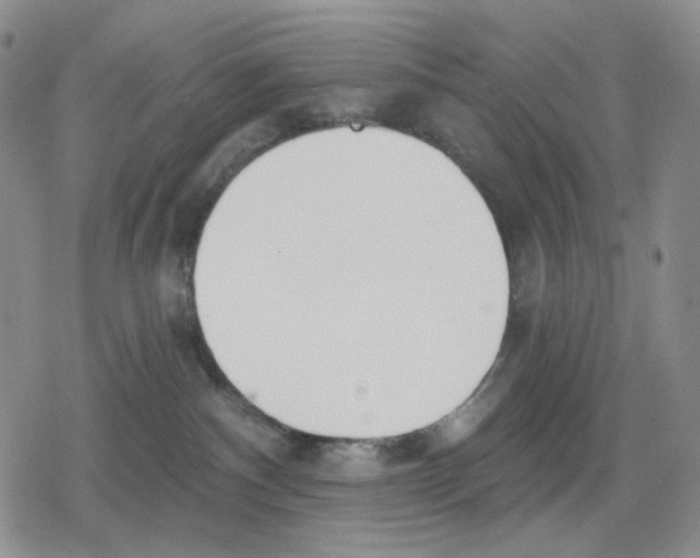 X0000079310140200612151801