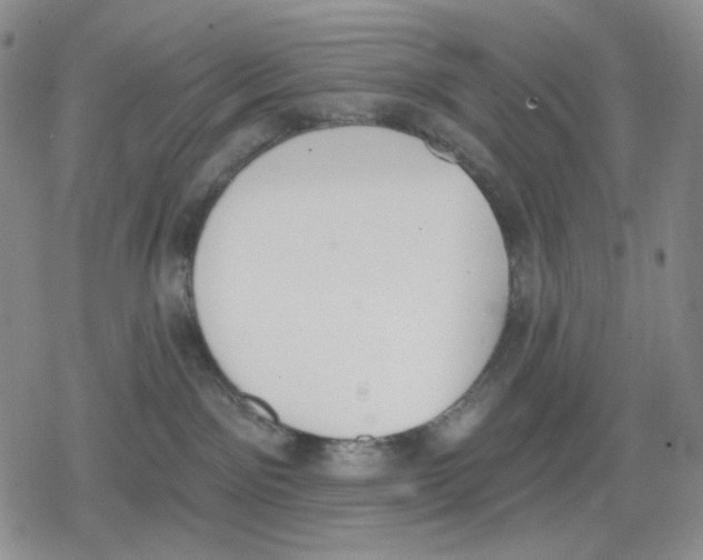 X0000079310141200612151801