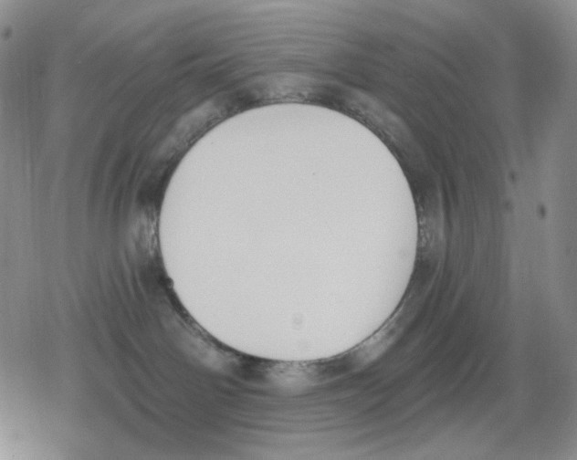 X0000079310142200612151801