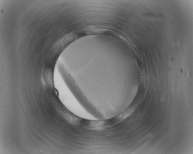 X0000079310143200612151801