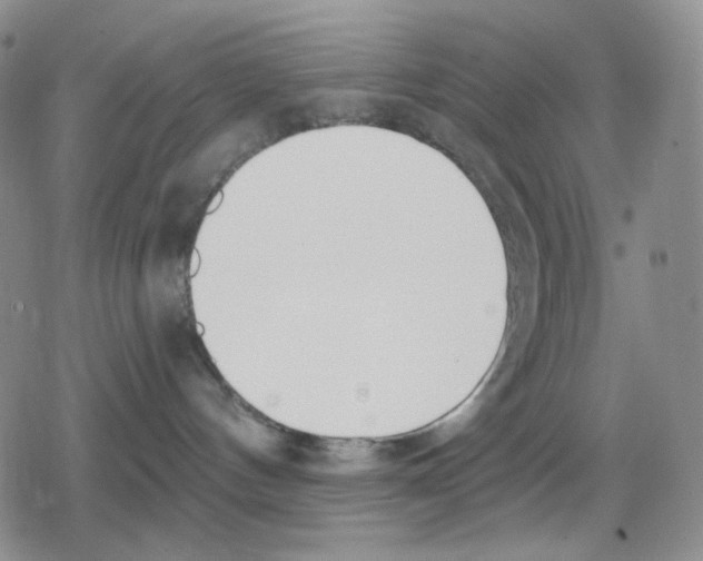 X0000079310144200612151801