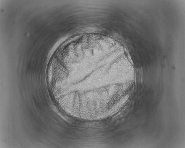 X0000079310147200612151801