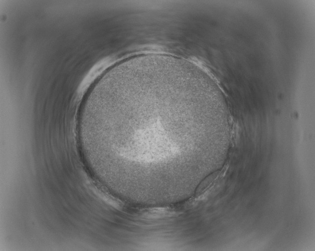 X0000079310151200612151801