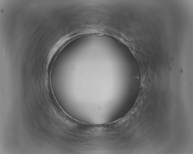 X0000079310152200612151801