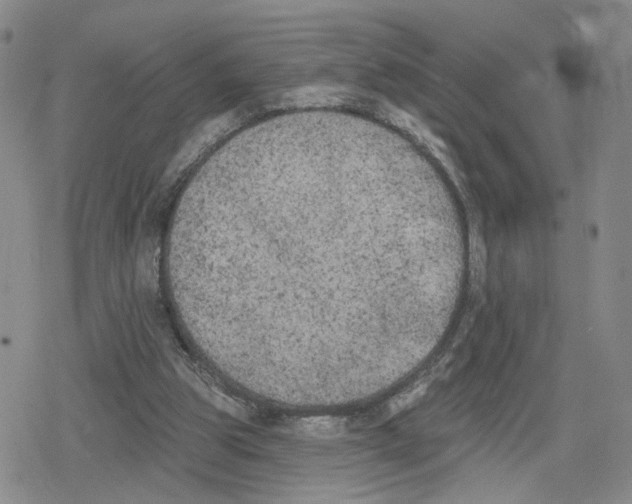 X0000079310153200612151801