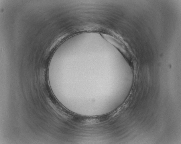 X0000079310154200612151801