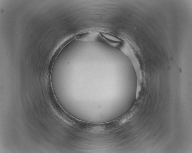 X0000079310156200612151801