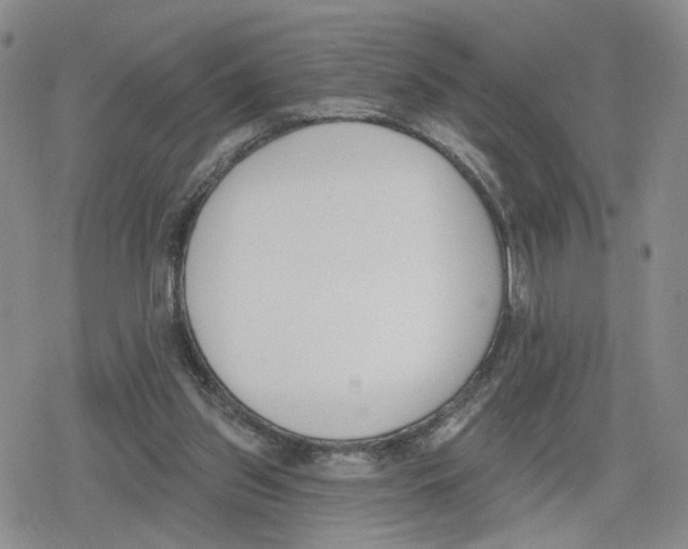 X0000079310157200612151801