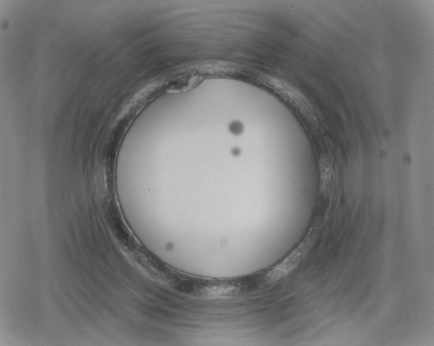 X0000079310158200612151801