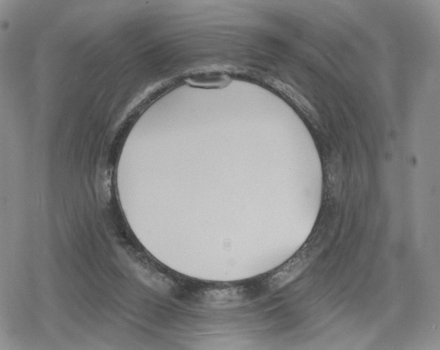 X0000079310160200612151801