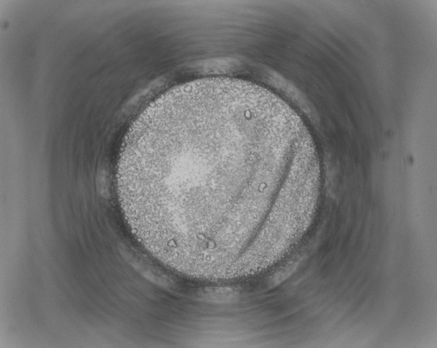 X0000079310161200612151801