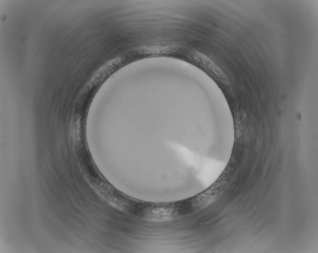 X0000079310163200612151801