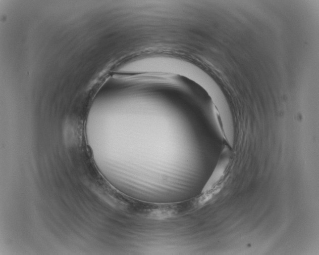 X0000079310168200612151801