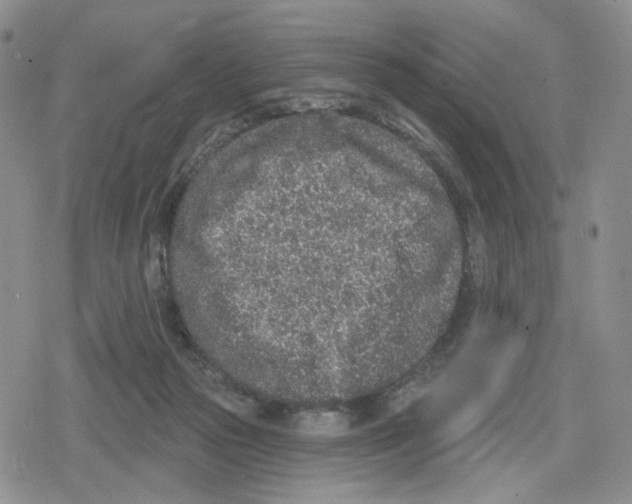 X0000079310169200612151801