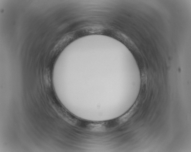 X0000079310170200612151801