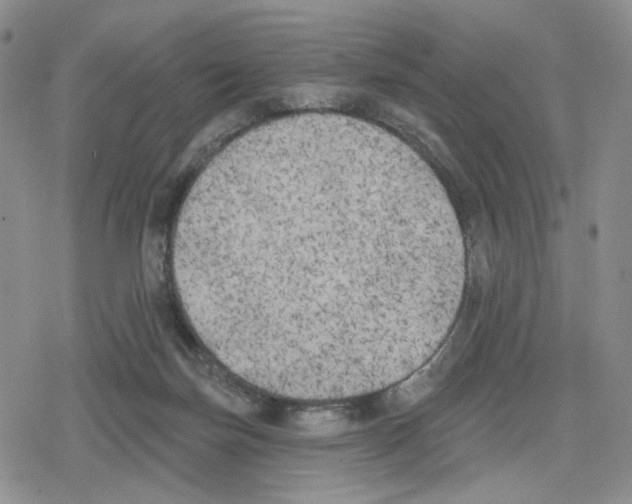 X0000079310171200612151801