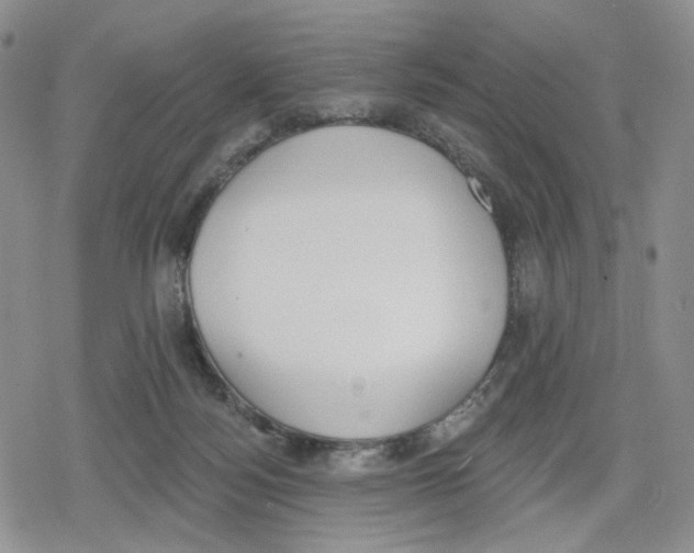 X0000079310172200612151801