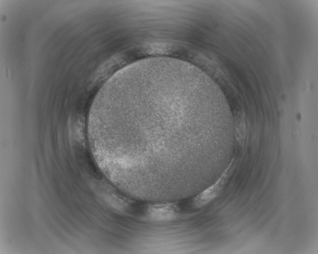 X0000079310175200612151801