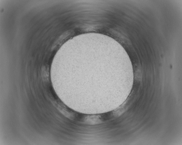 X0000079310179200612151801