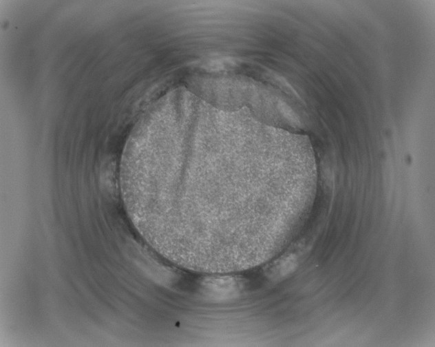 X0000079310181200612151801