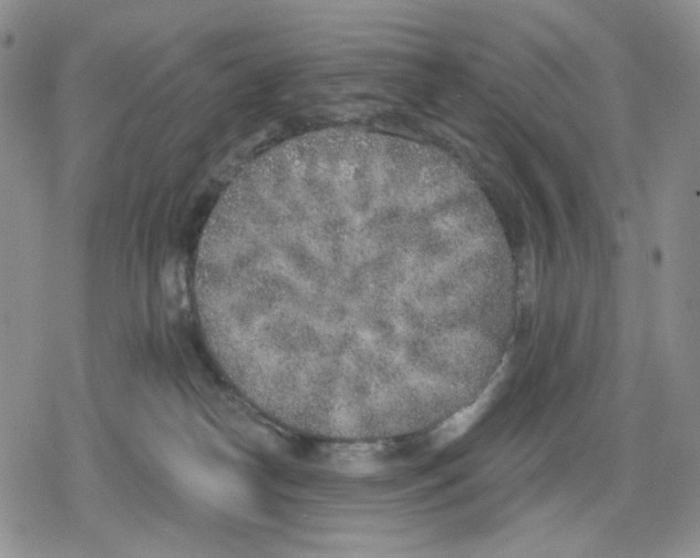 X0000079310182200612151801